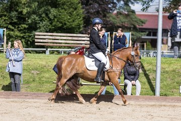 Bild 264 - Pony Akademie Turnier